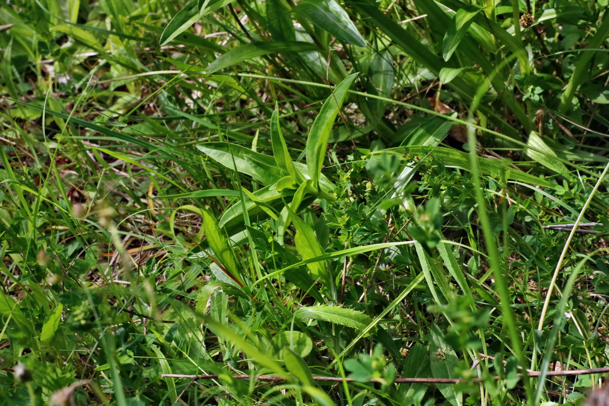 IMG-2016-06-18-00020036p_Bildgr��e �ndern