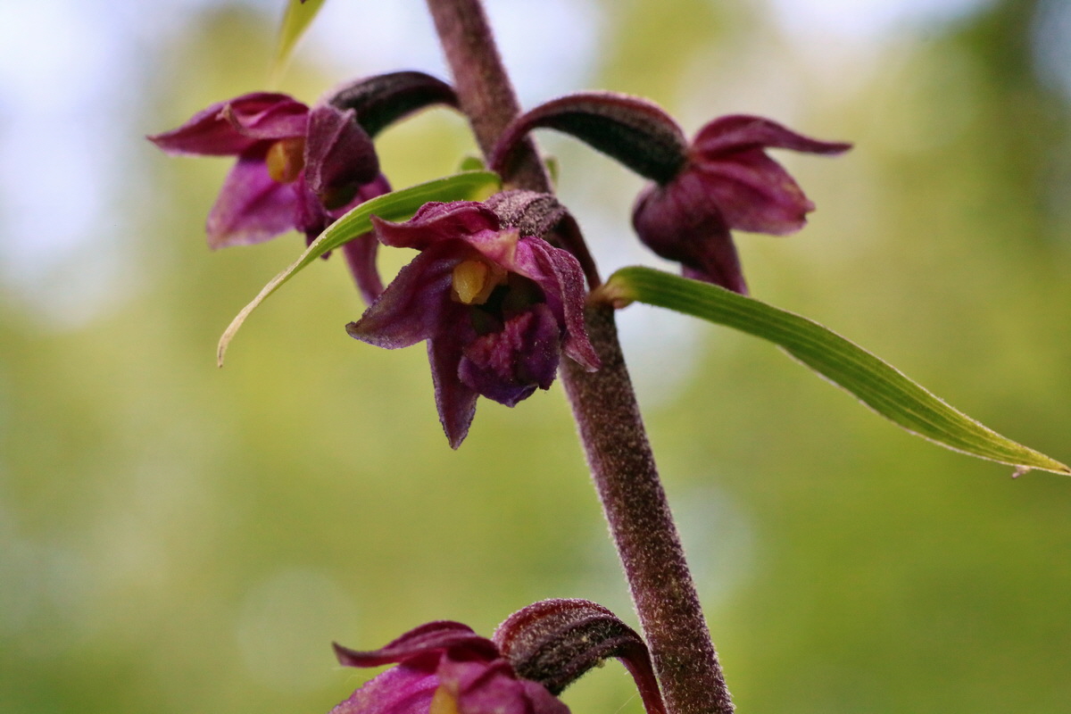 IMG-2016-06-18-00020043p_Bildgr��e �ndern