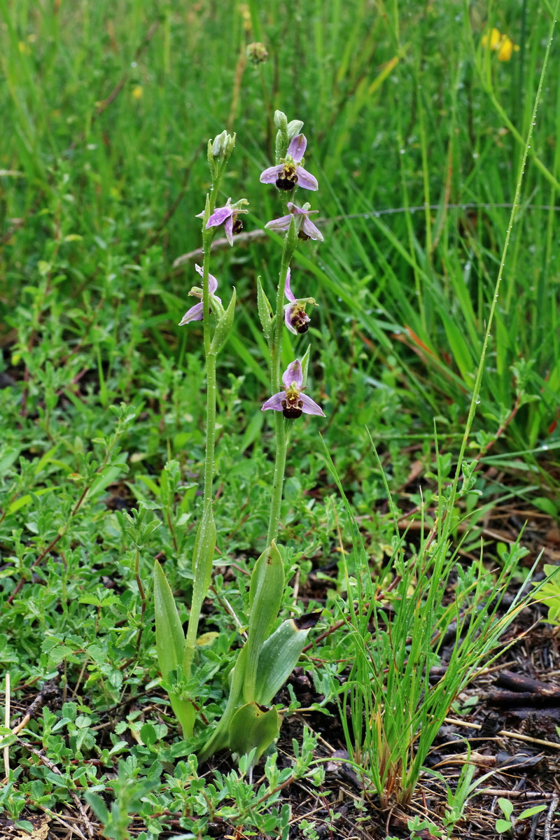 IMG-2016-06-18-00020078p_Bildgr��e �ndern