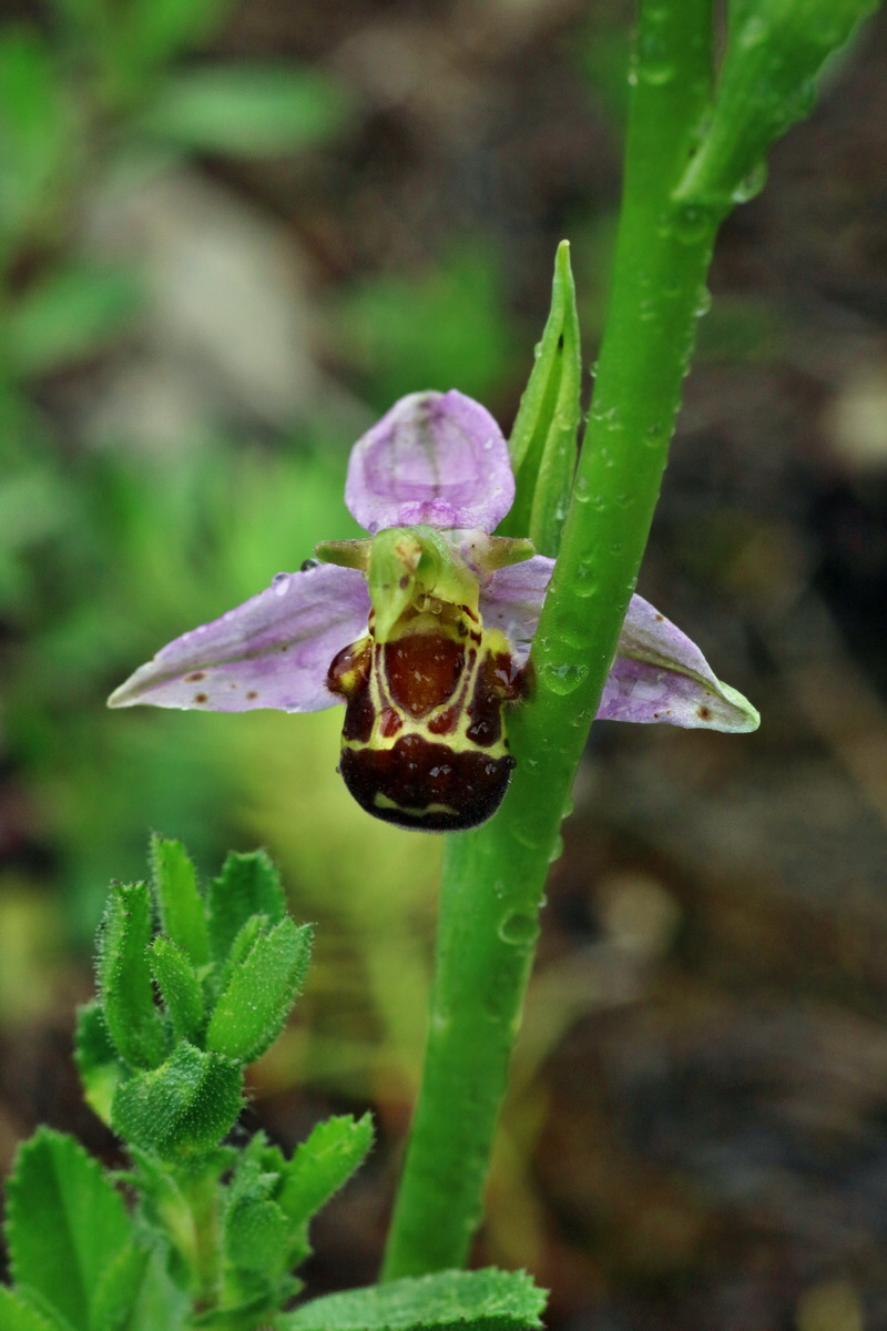 IMG-2016-06-18-00020081p_Bildgr��e �ndern