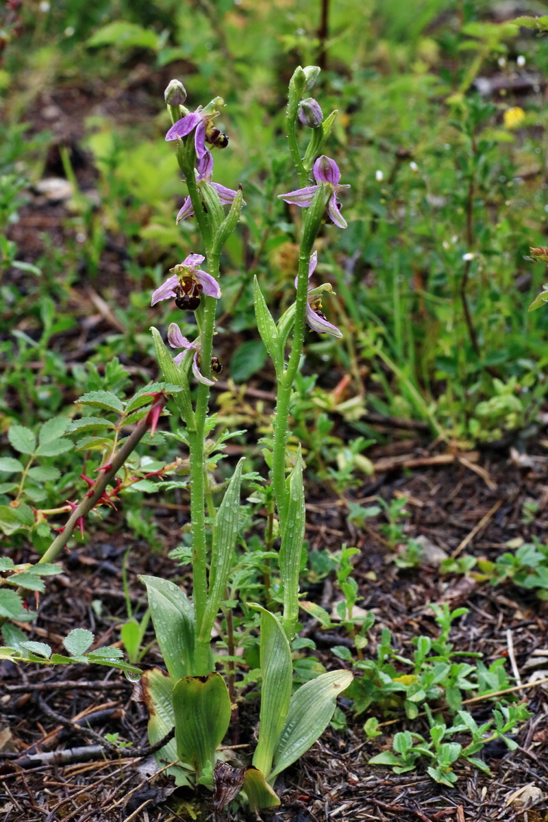 IMG-2016-06-18-00020083p_Bildgr��e �ndern