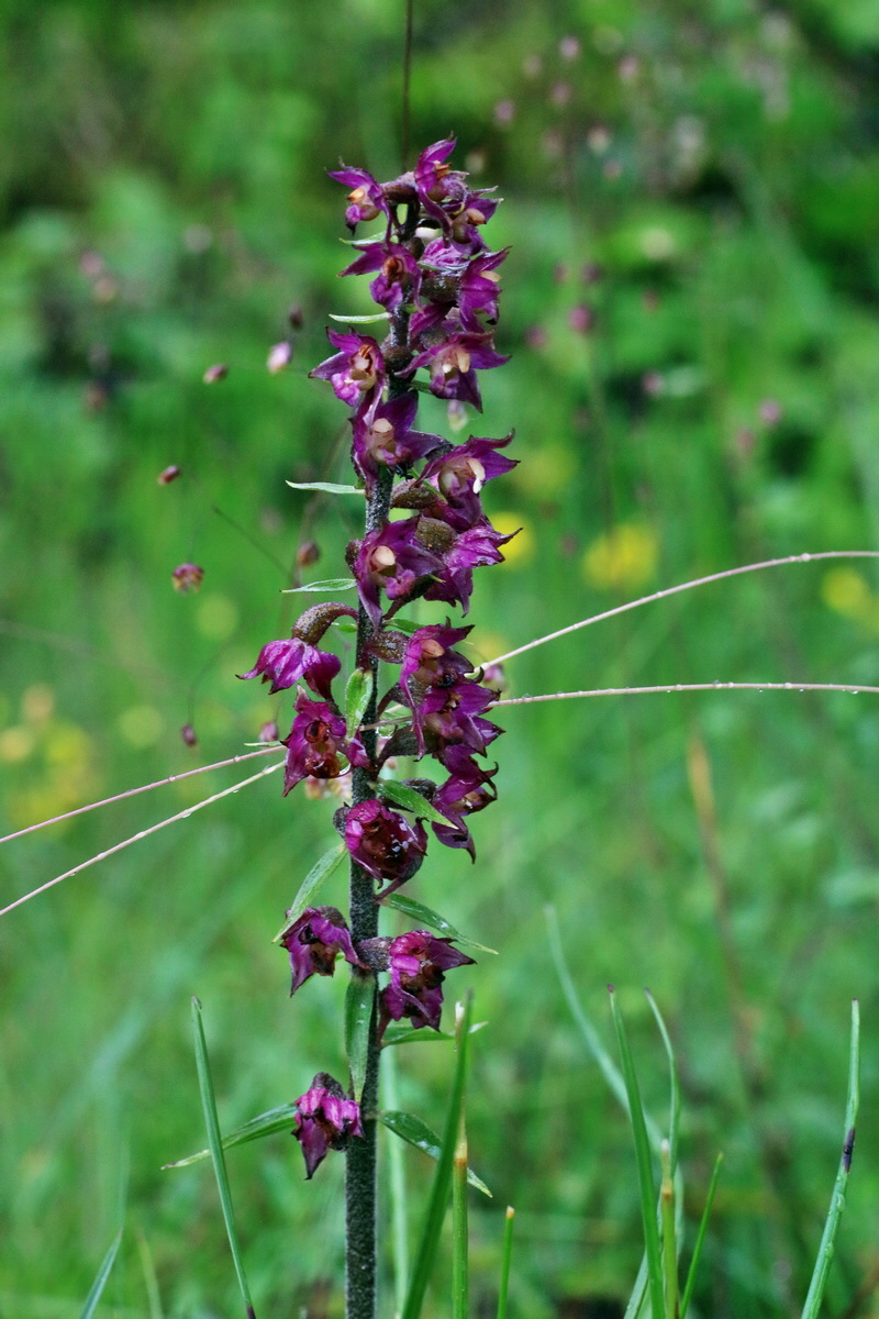 IMG-2016-06-18-00020086p_Bildgr��e �ndern