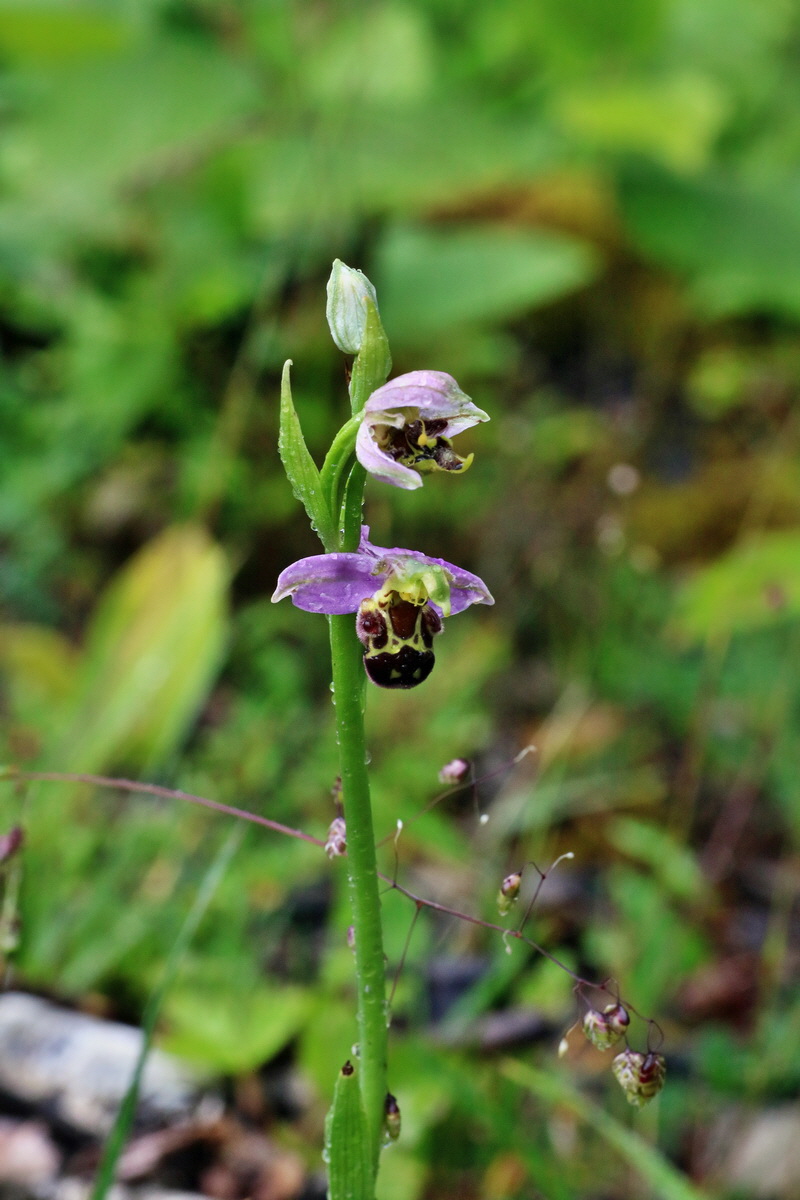 IMG-2016-06-18-00020092p_Bildgr��e �ndern