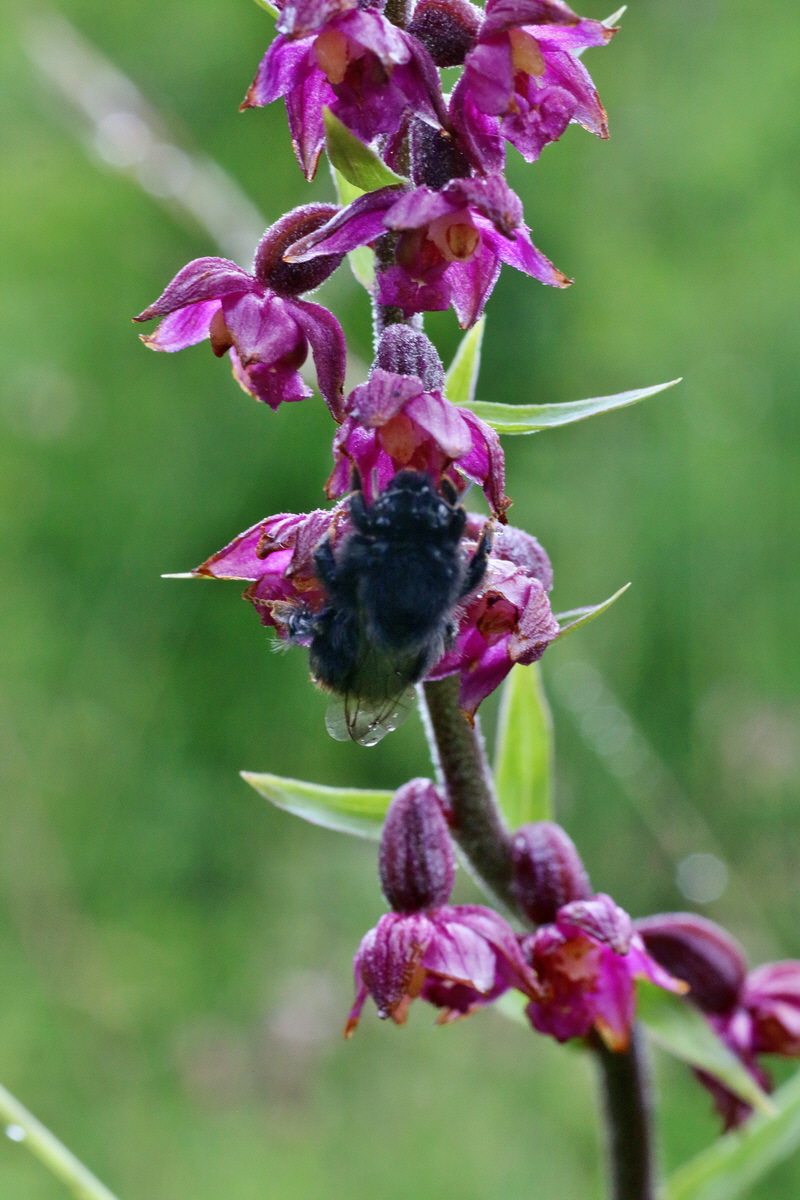 IMG-2016-06-18-00020098p_Bildgr��e �ndern