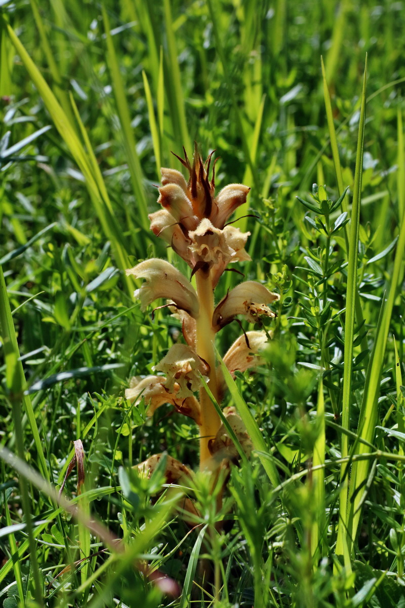 IMG-2016-06-20-00020108p_Bildgr��e �ndern