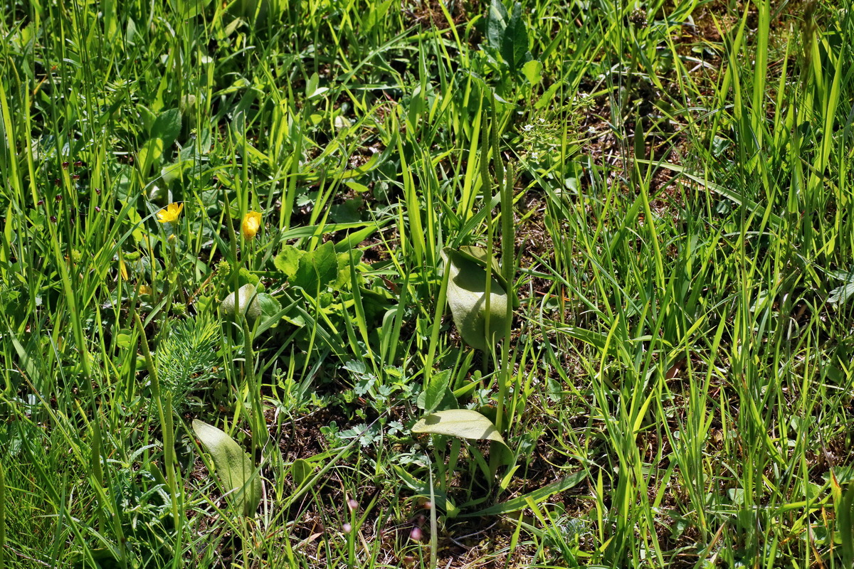 IMG-2016-06-20-00020114p_Bildgr��e �ndern