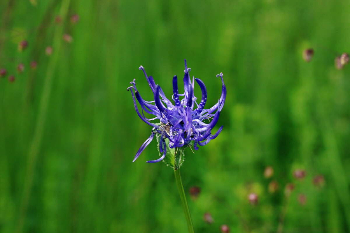 IMG-2016-06-20-00020137p_Bildgr��e �ndern