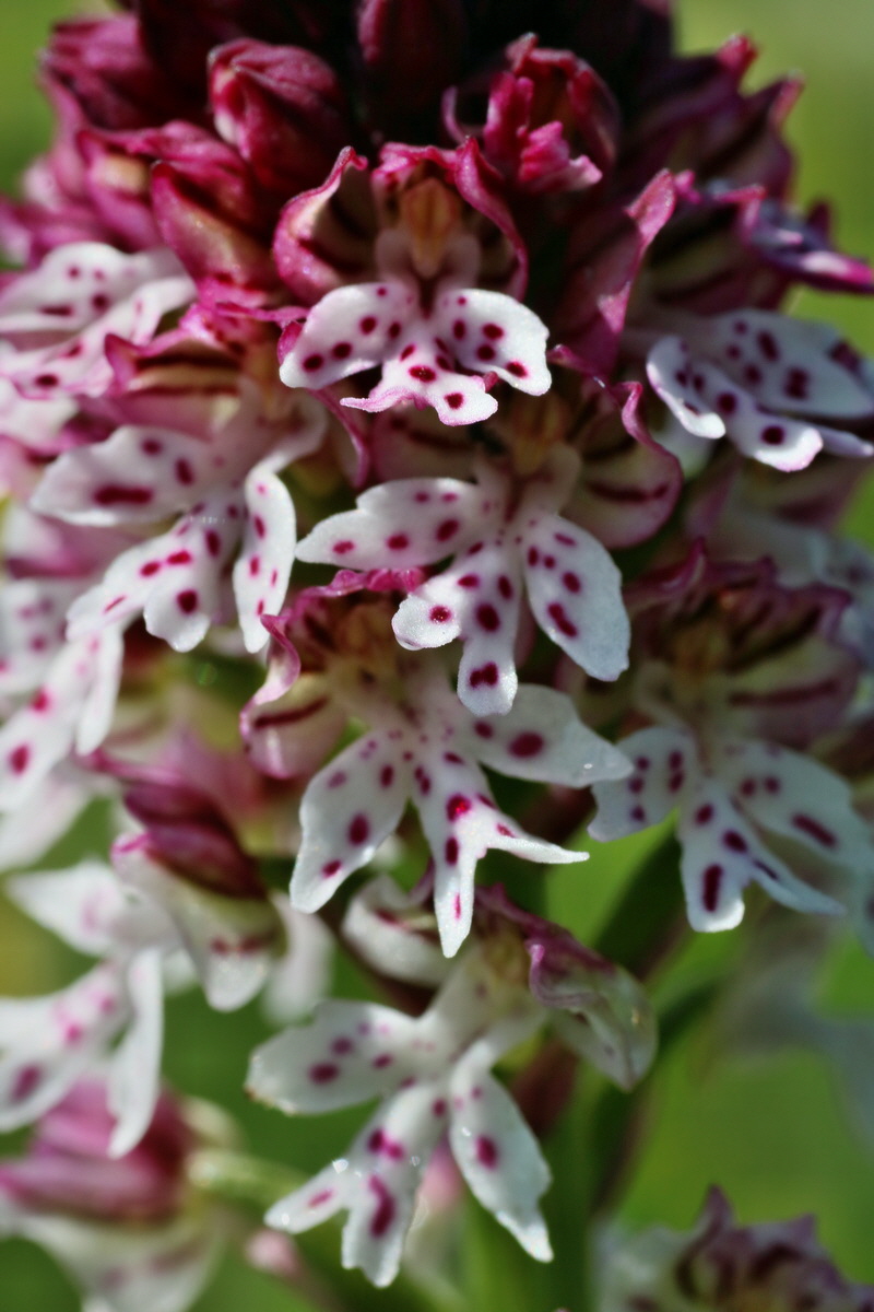 IMG-2016-06-20-00020170p_Bildgr��e �ndern