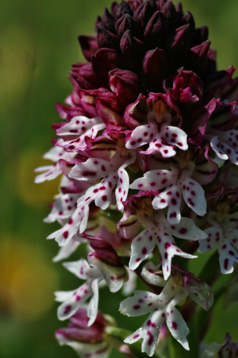 IMG-2016-06-20-00020173p_Bildgr��e �ndern