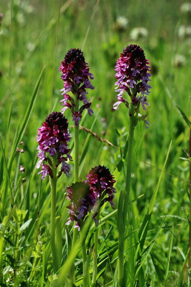 IMG-2016-06-20-00020174p_Bildgr��e �ndern