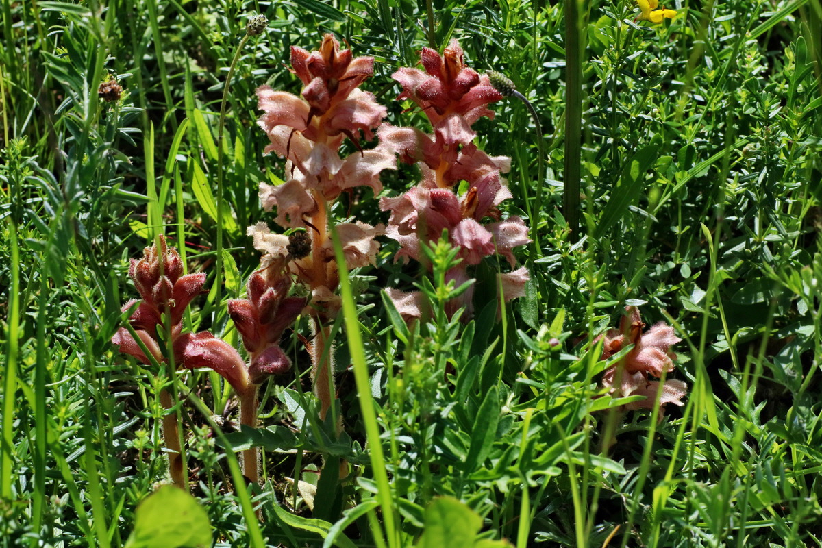 IMG-2016-06-20-00020180p_Bildgr��e �ndern