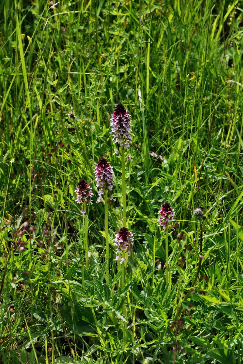 IMG-2016-06-20-00020243p_Bildgr��e �ndern