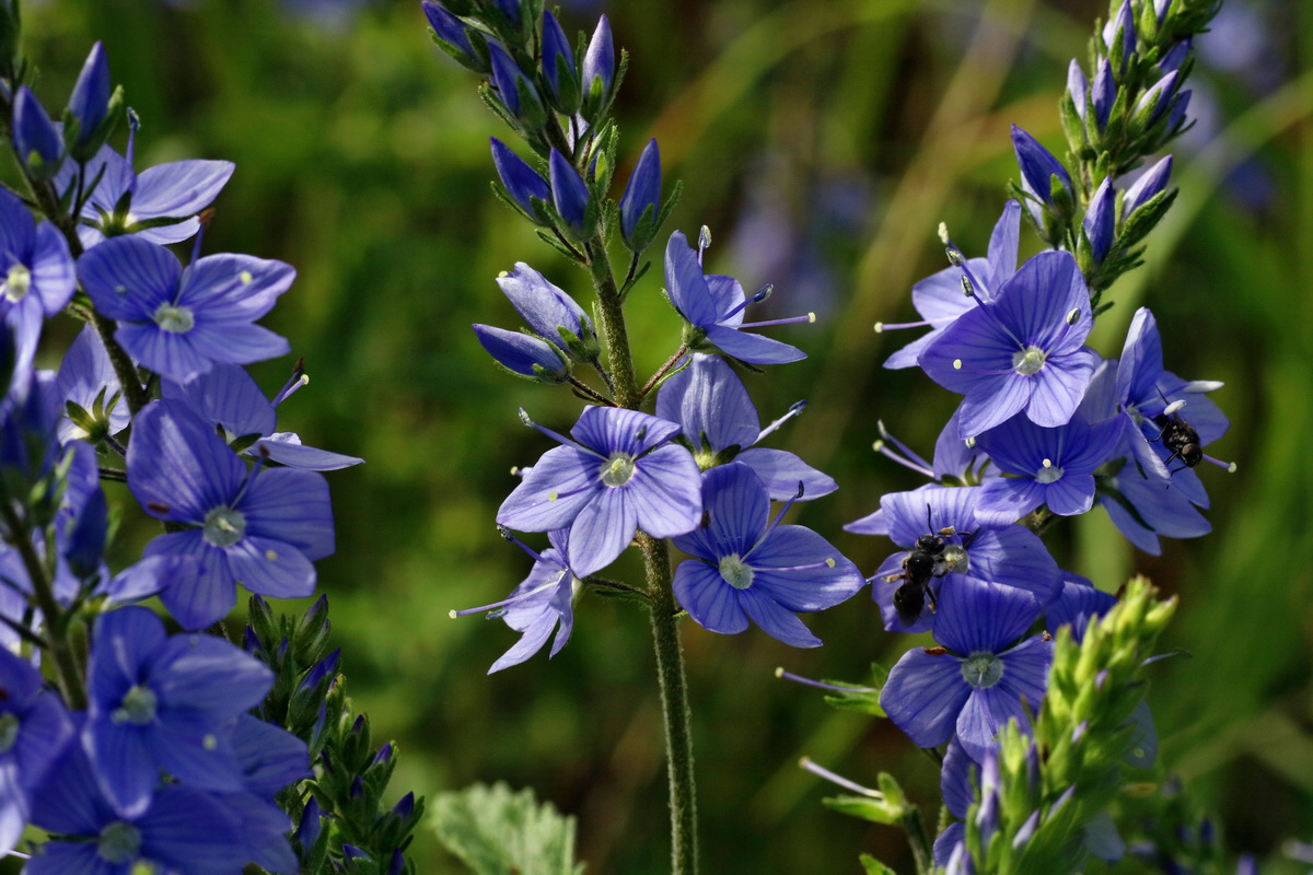 IMG-2016-06-20-00020255p_Bildgr��e �ndern