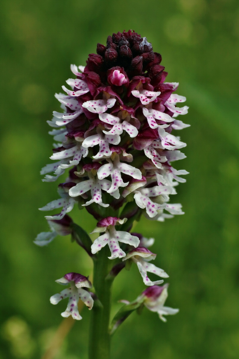 IMG-2016-06-20-00020264p_Bildgr��e �ndern