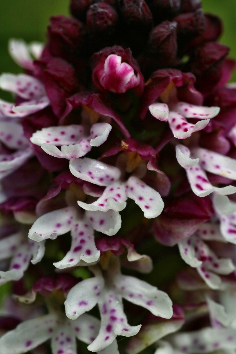 IMG-2016-06-20-00020266p_Bildgr��e �ndern