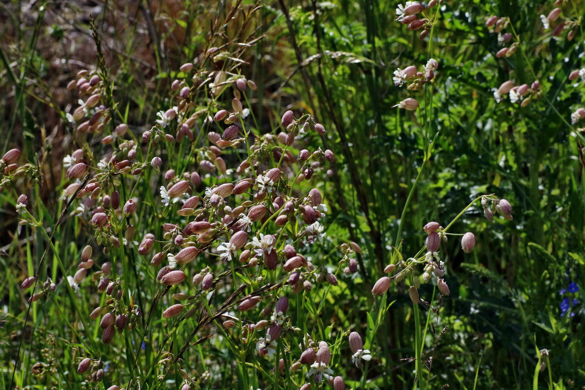 IMG-2016-06-20-00020271p_Bildgr��e �ndern