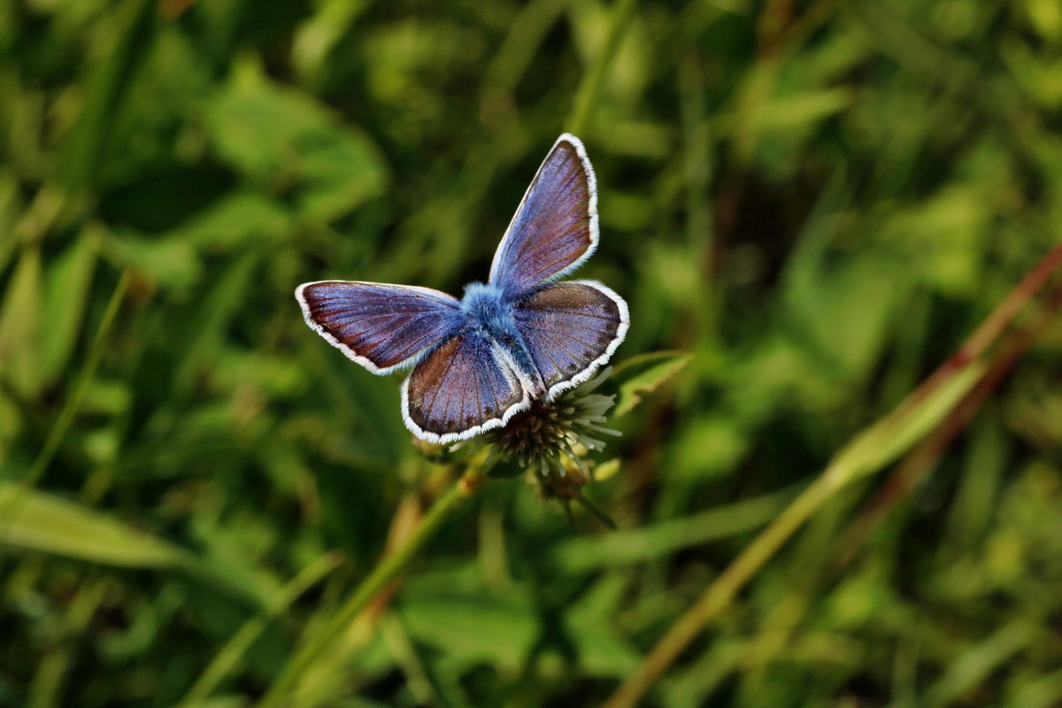 IMG-2016-06-20-00020286p_Bildgr��e �ndern