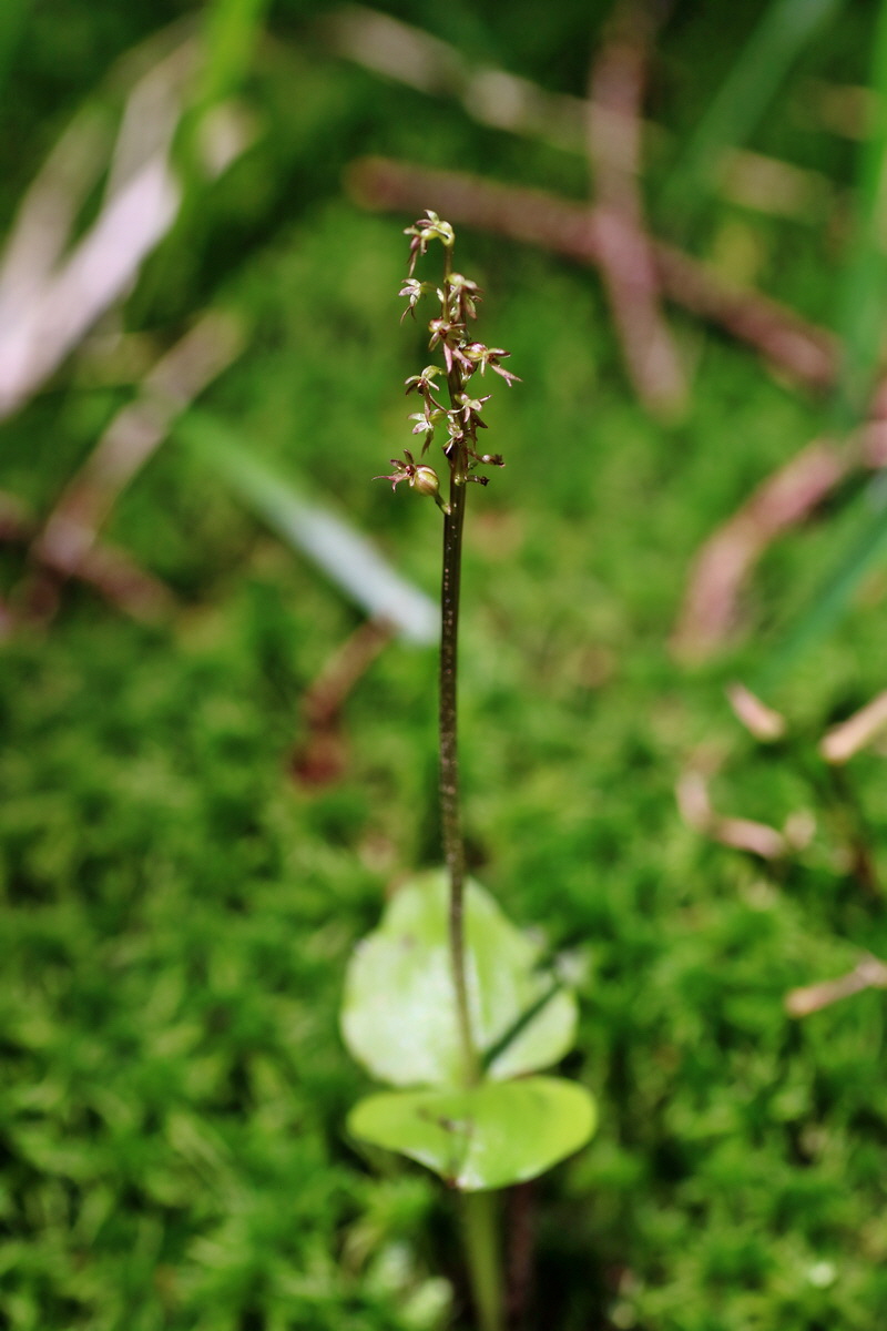 IMG-2016-06-20-00020363p_Bildgr��e �ndern