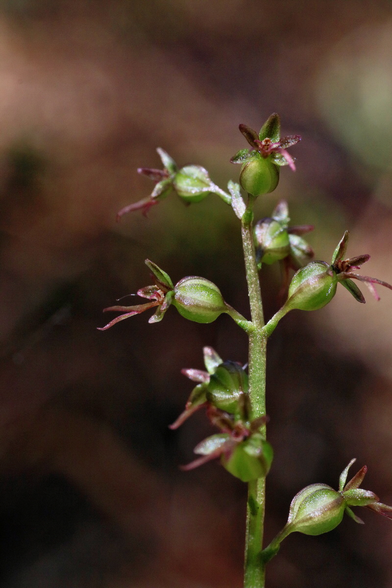 IMG-2016-06-20-00020373p_Bildgr��e �ndern