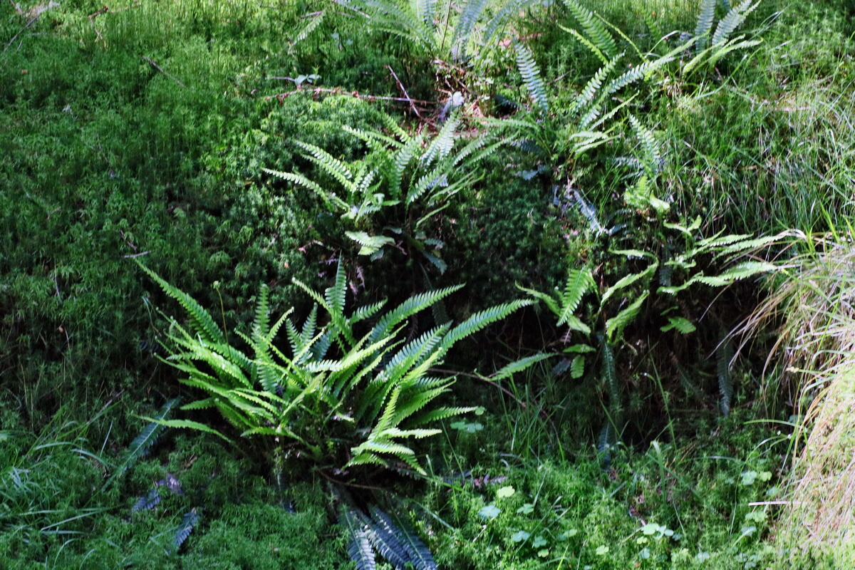 IMG-2016-06-20-00020377p_Bildgr��e �ndern