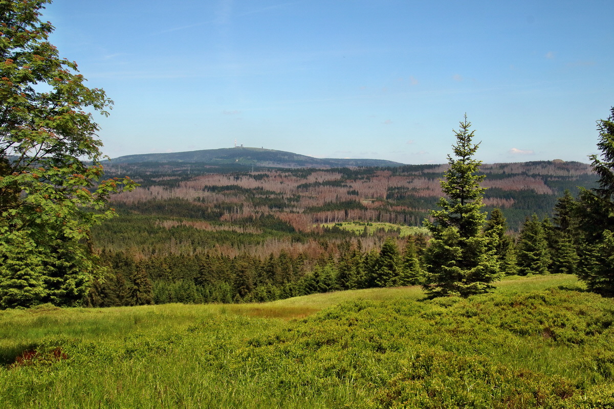 IMG-2016-06-20-00020426p_Bildgr��e �ndern