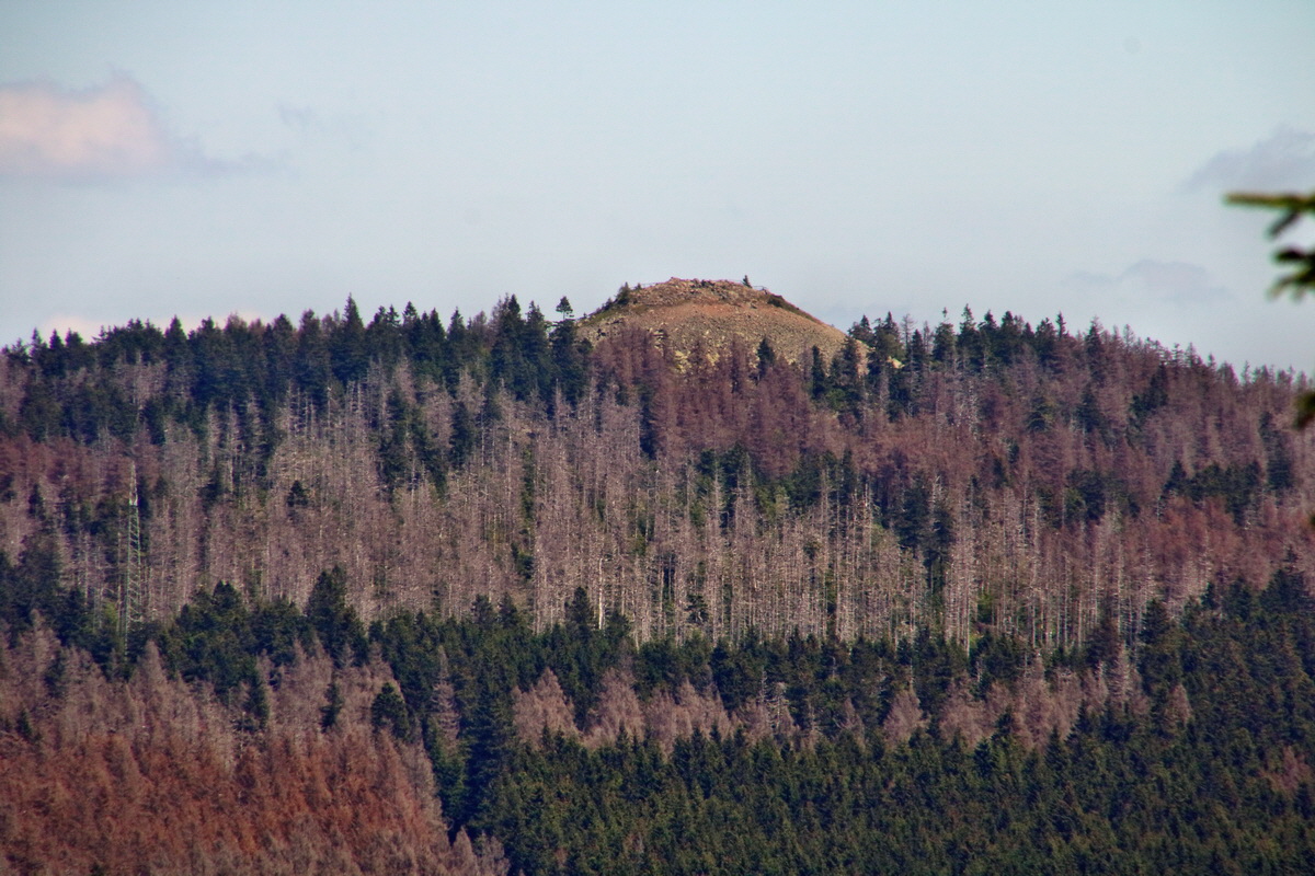 IMG-2016-06-20-00020429p_Bildgr��e �ndern