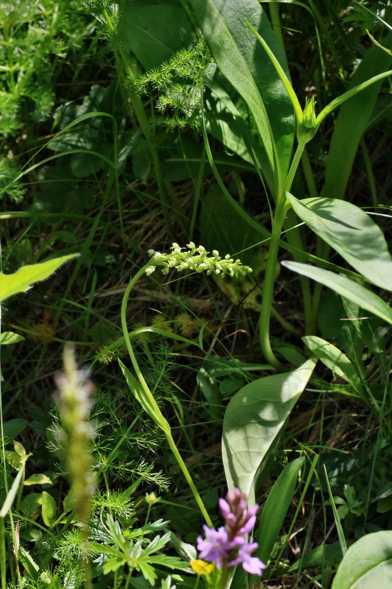 IMG-2016-06-20-00020436p_Bildgr��e �ndern