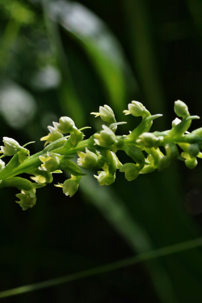 IMG-2016-06-20-00020439p_Bildgr��e �ndern