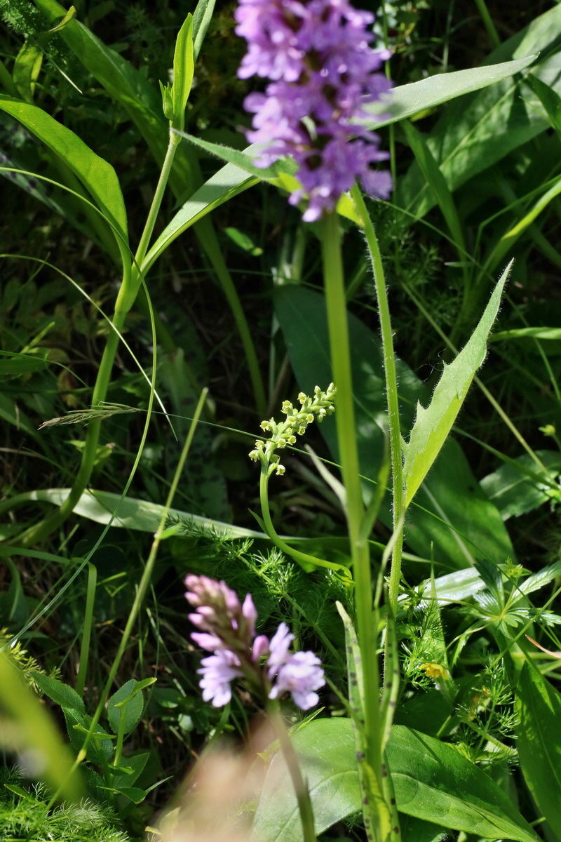 IMG-2016-06-20-00020446p_Bildgr��e �ndern