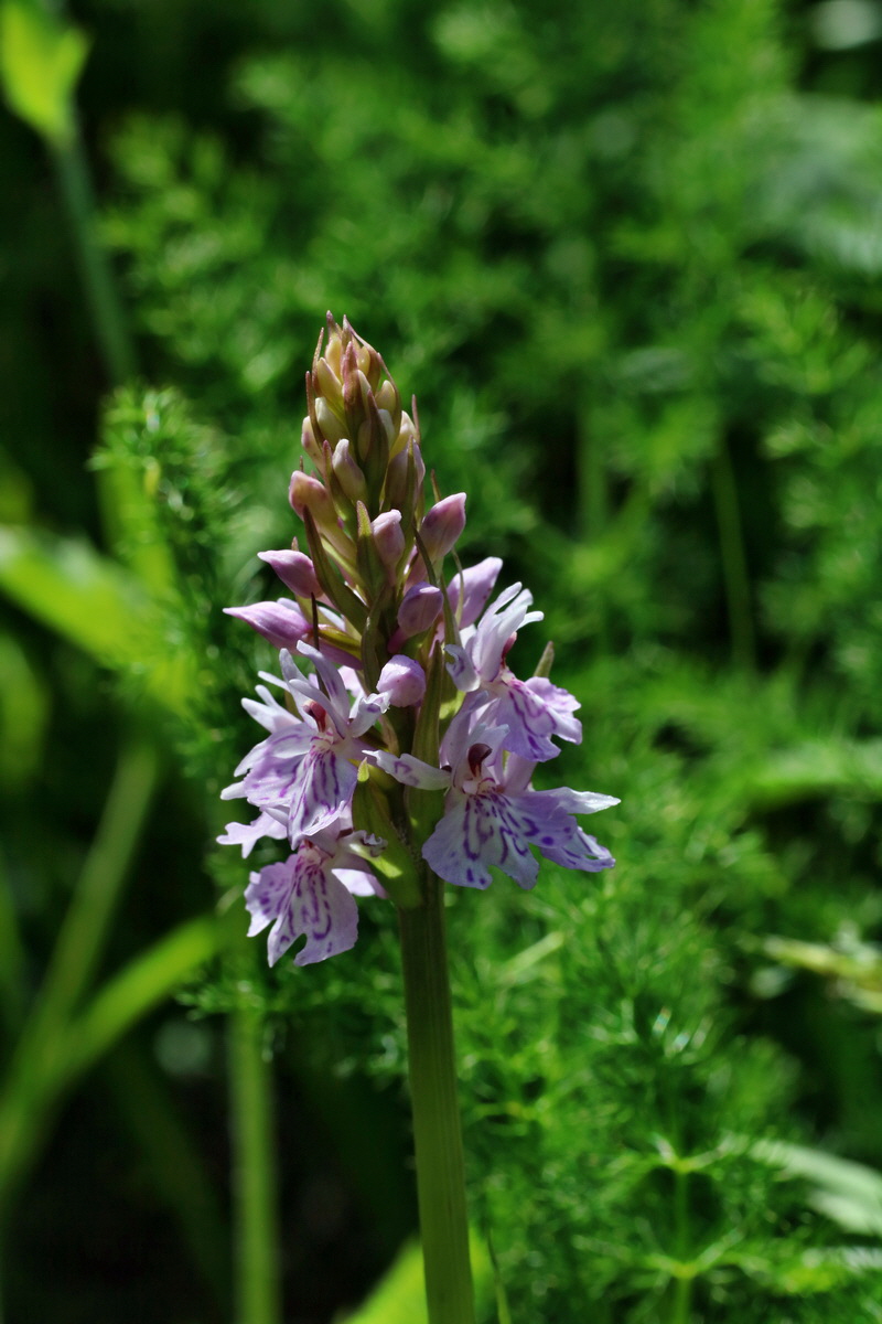 IMG-2016-06-20-00020452p_Bildgr��e �ndern