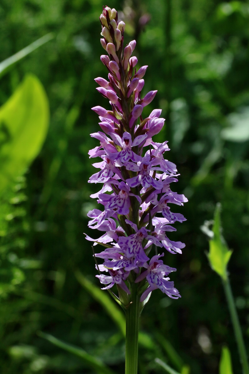 IMG-2016-06-20-00020455p_Bildgr��e �ndern