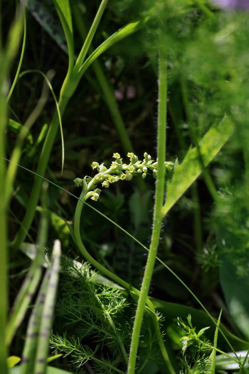 IMG-2016-06-20-00020459p_Bildgr��e �ndern