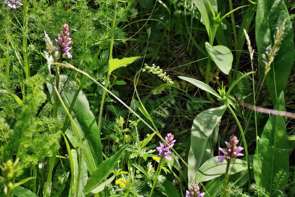 IMG-2016-06-20-00020470p_Bildgr��e �ndern