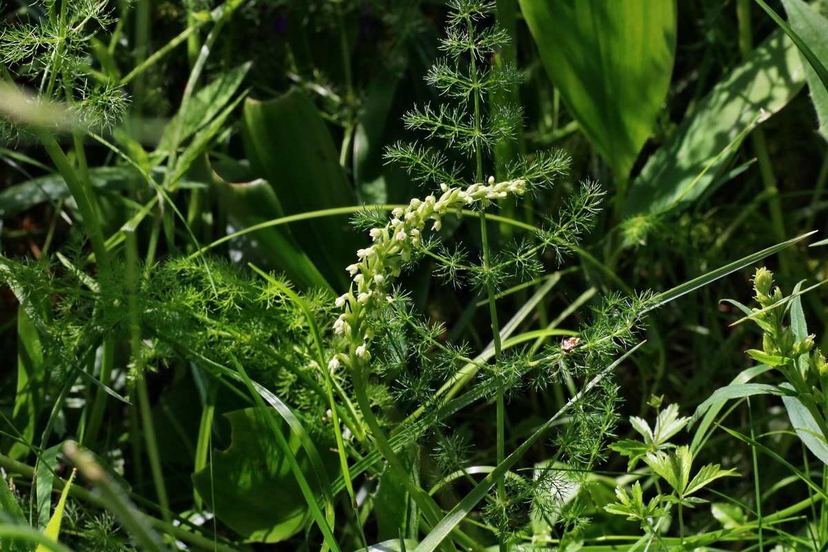 IMG-2016-06-20-00020474p_Bildgr��e �ndern