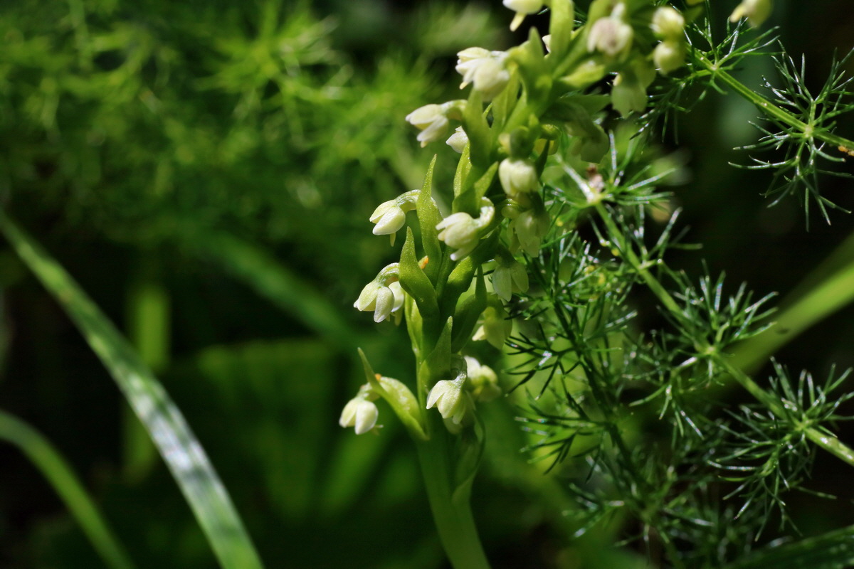 IMG-2016-06-20-00020476p_Bildgr��e �ndern