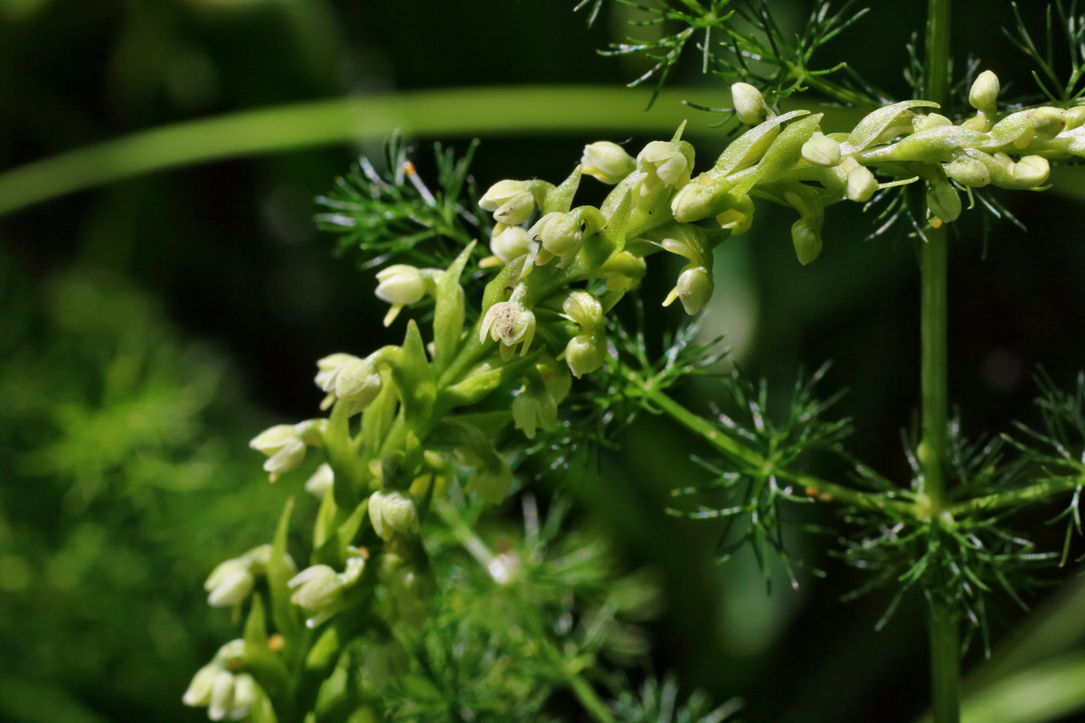 IMG-2016-06-20-00020483p_Bildgr��e �ndern