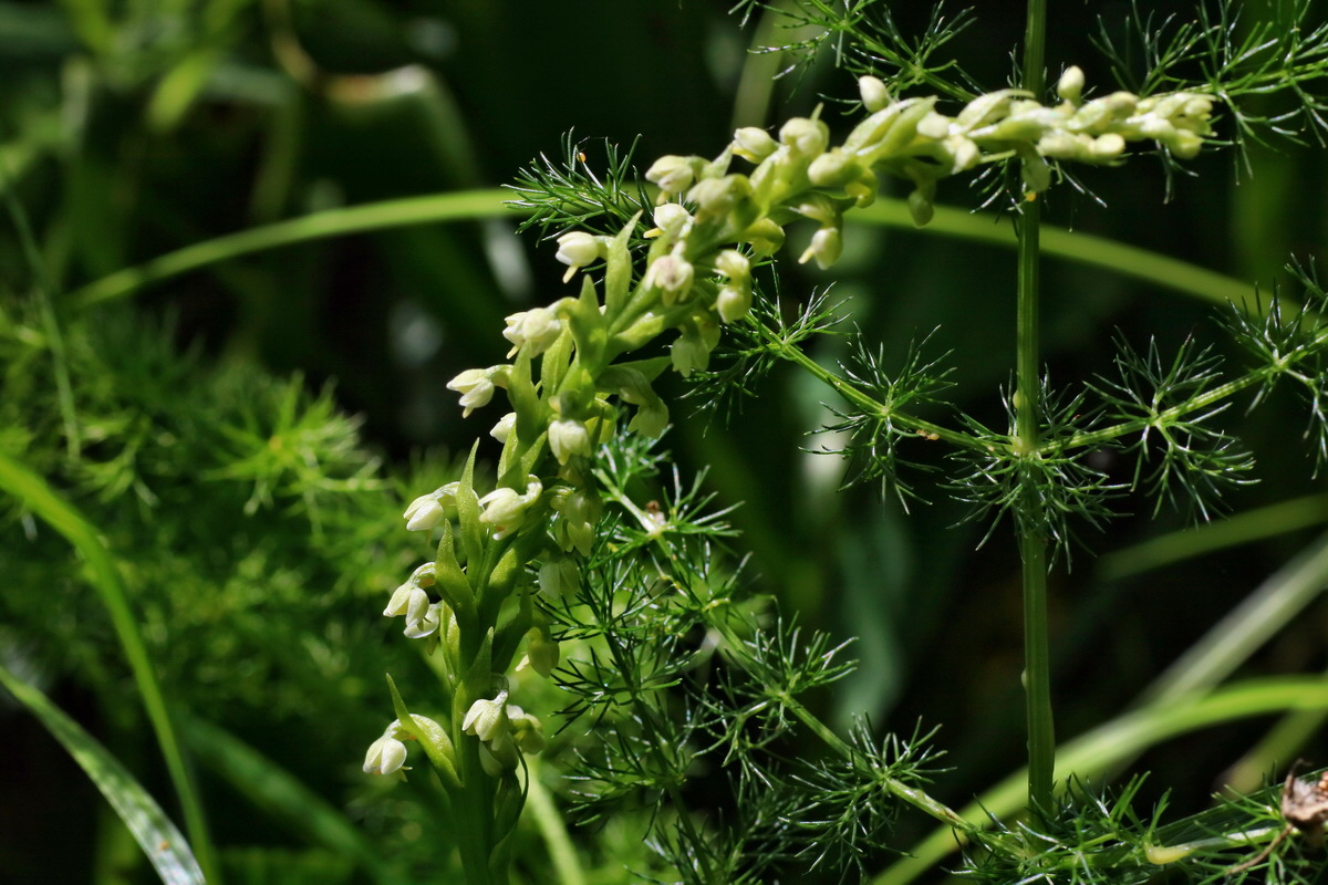 IMG-2016-06-20-00020488p_Bildgr��e �ndern