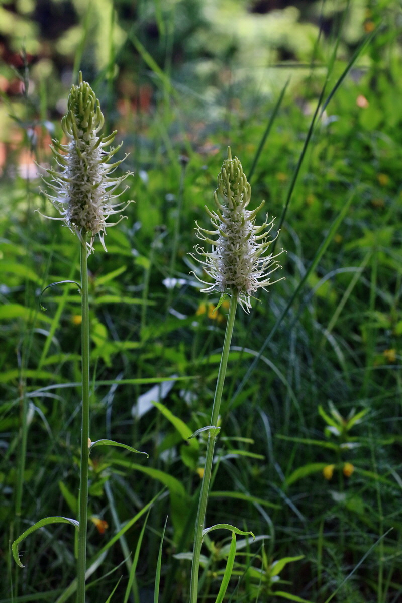 IMG-2016-06-20-00020491p_Bildgr��e �ndern