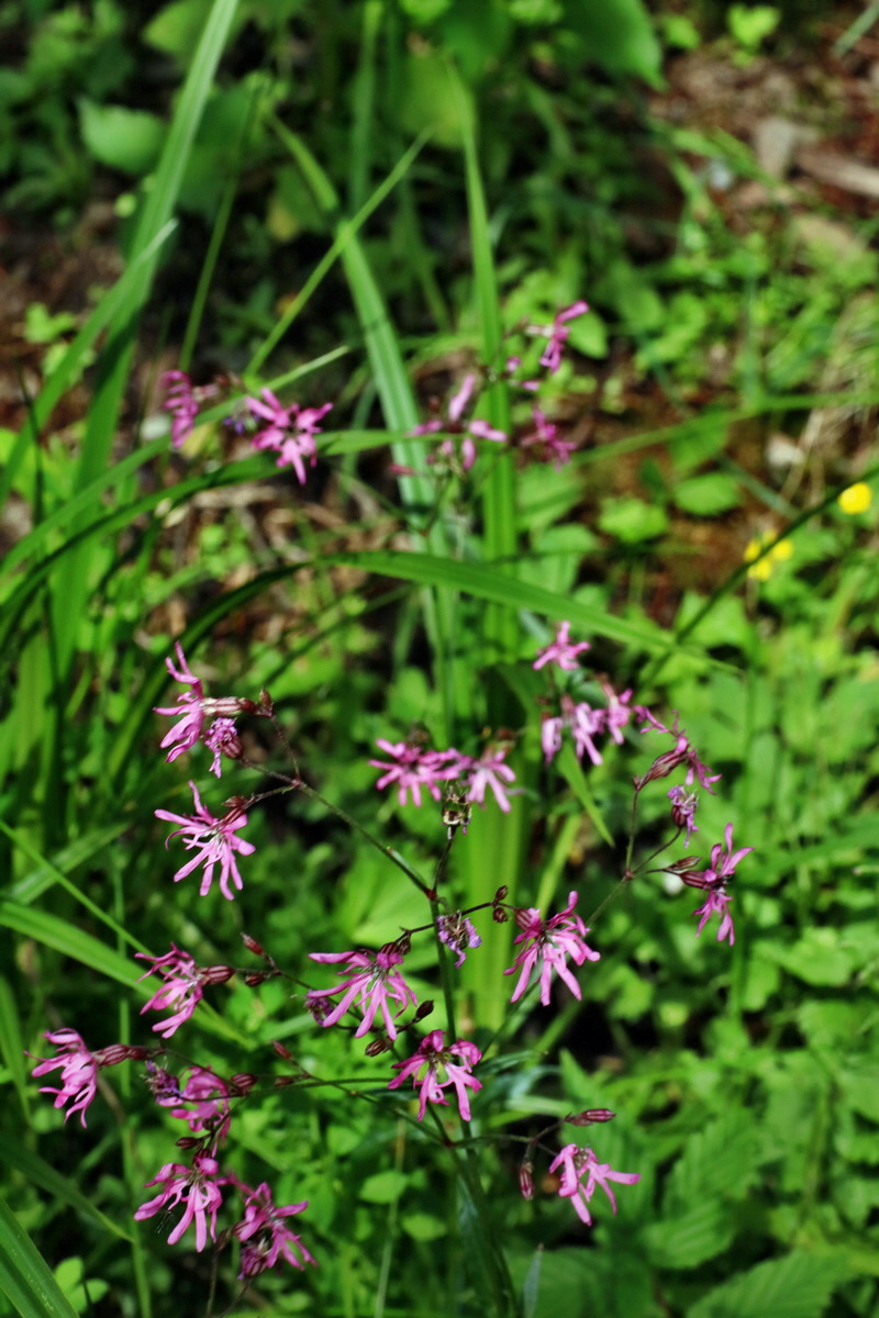 IMG-2016-06-20-00020540p_Bildgr��e �ndern