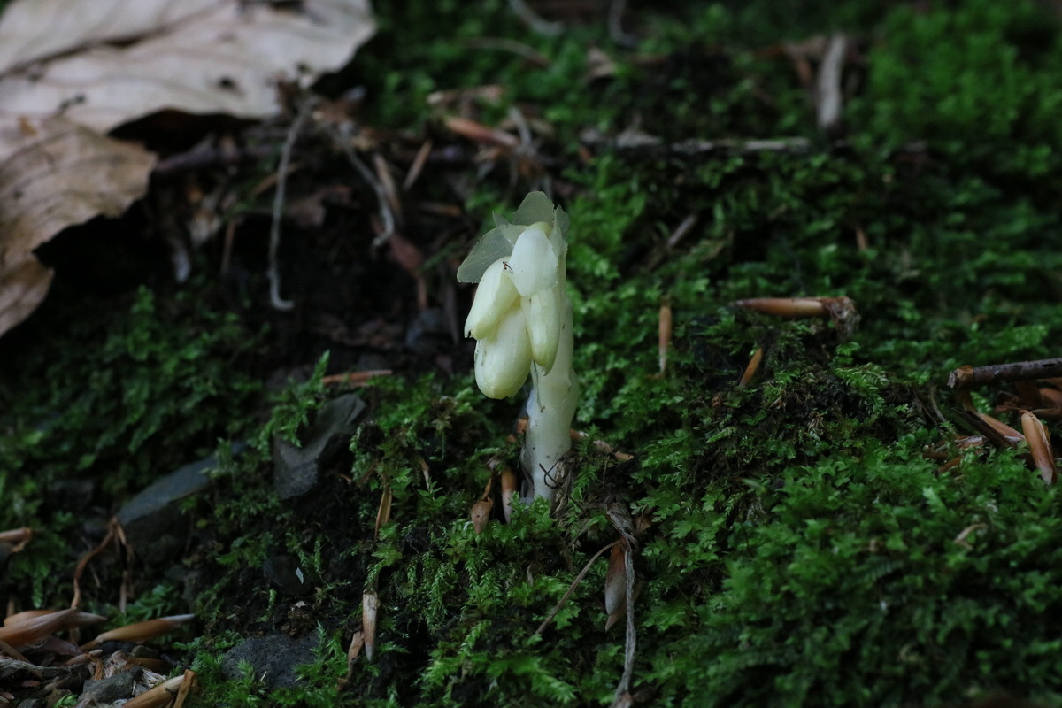 IMG-2016-06-22-00020549_Bildgr��e �ndern