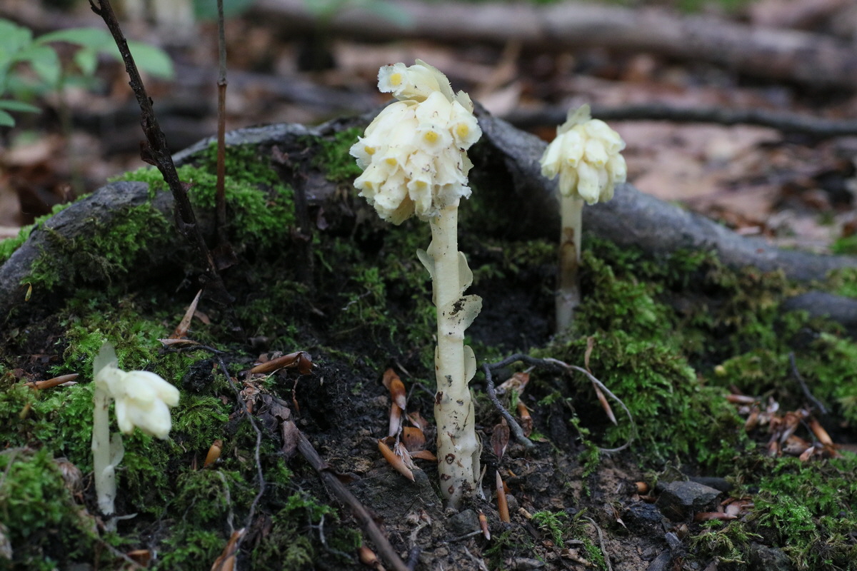 IMG-2016-06-22-00020557_Bildgr��e �ndern