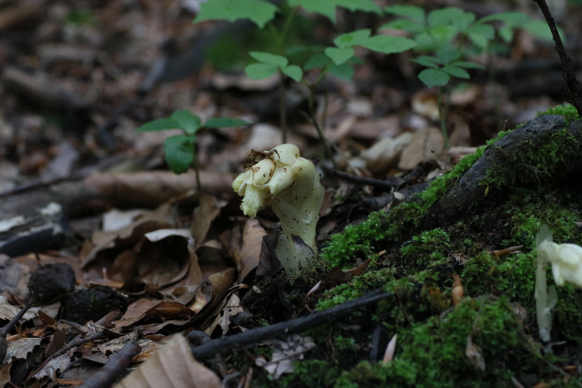 IMG-2016-06-22-00020559_Bildgr��e �ndern