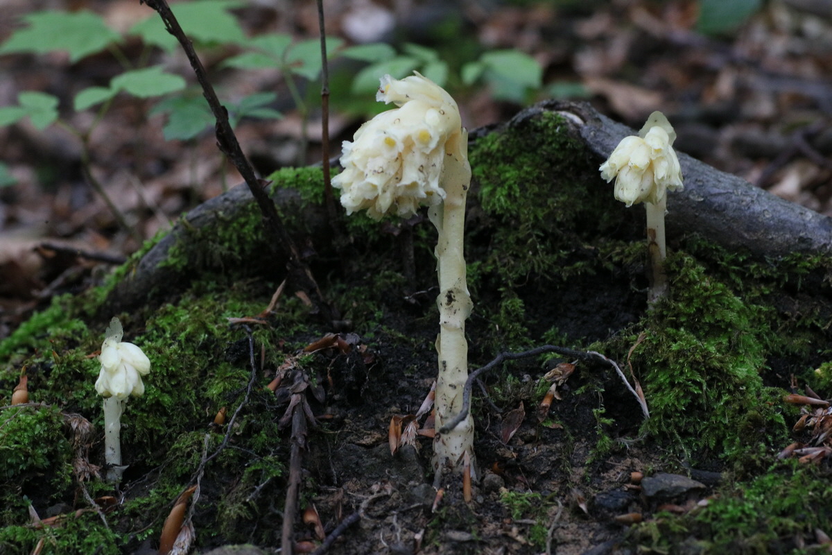 IMG-2016-06-22-00020561_Bildgr��e �ndern