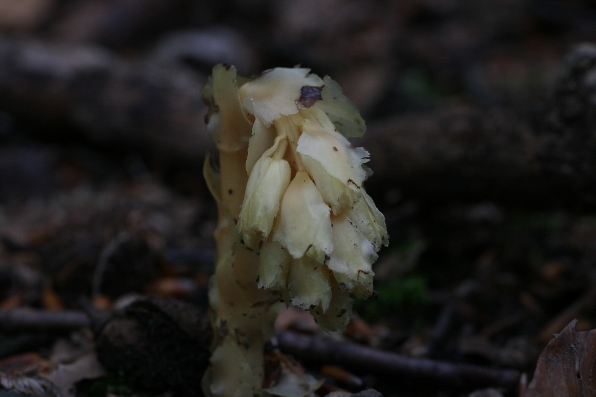 IMG-2016-06-22-00020563_Bildgr��e �ndern