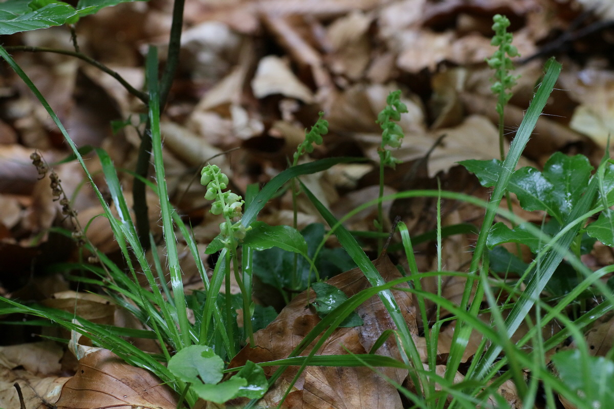 IMG-2016-06-22-00020582_Bildgr��e �ndern