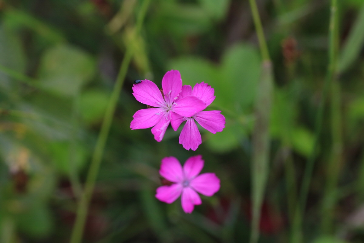 IMG-2016-06-22-00020590_Bildgr��e �ndern