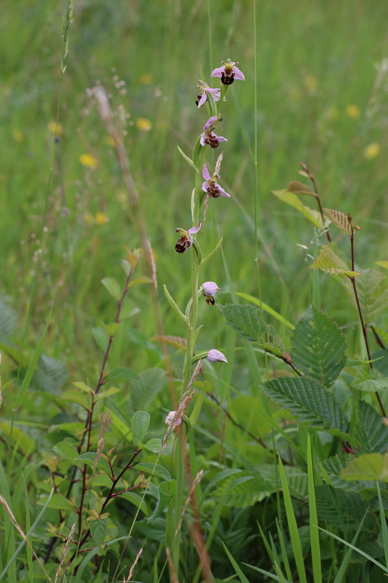 IMG-2016-06-22-00020593_Bildgr��e �ndern