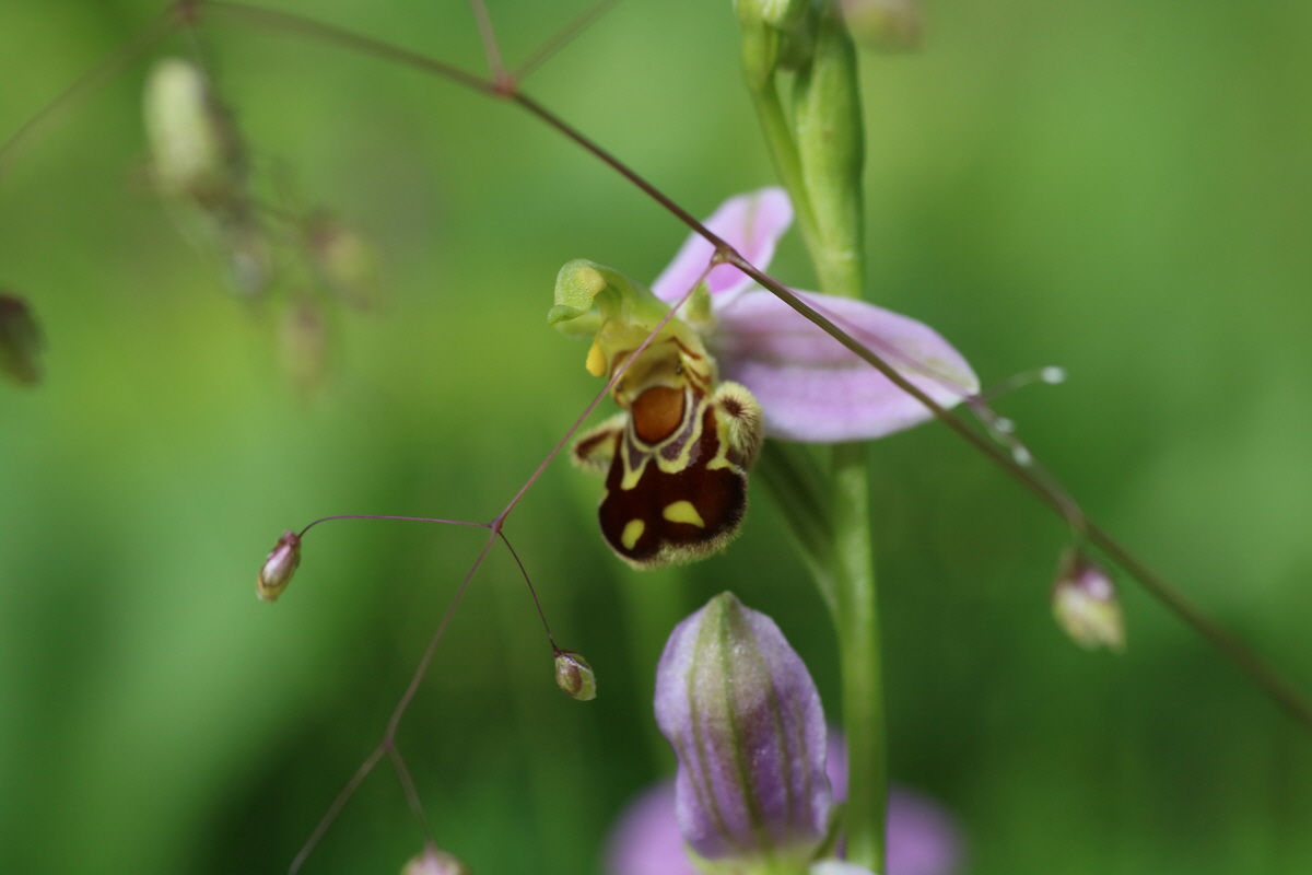 IMG-2016-06-22-00020600_Bildgr��e �ndern