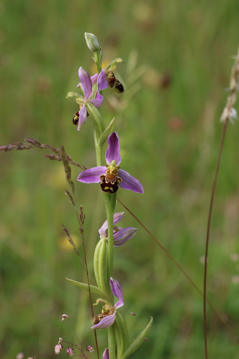 IMG-2016-06-22-00020603_Bildgr��e �ndern