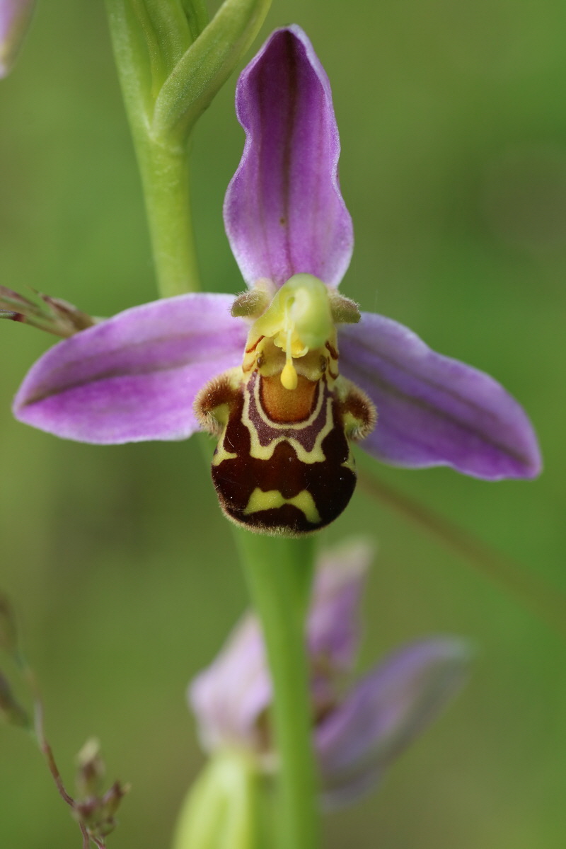 IMG-2016-06-22-00020605_Bildgr��e �ndern